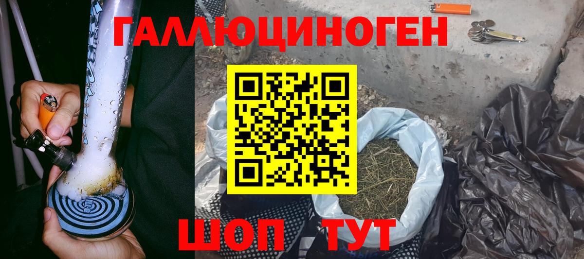Псилоцибиновые грибы Psilocybe  Вход с VPN  Сухой Лог 